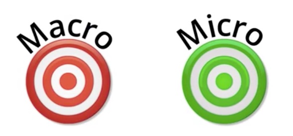 macro and micro goals